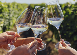 Weinkenner (Definitiv dabei): Ich bin bereit, meine Sinne zu erheben und mit euch auf die Liebe anzustoßen!