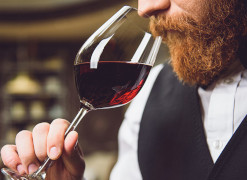Sommelier-in-Ausbildung (Vielleicht): Ich schwenke noch meinen Wein im Glas, um zu entscheiden, ob ich dabei sein kann, aber es klingt nach einem großartigen Jahrgang.